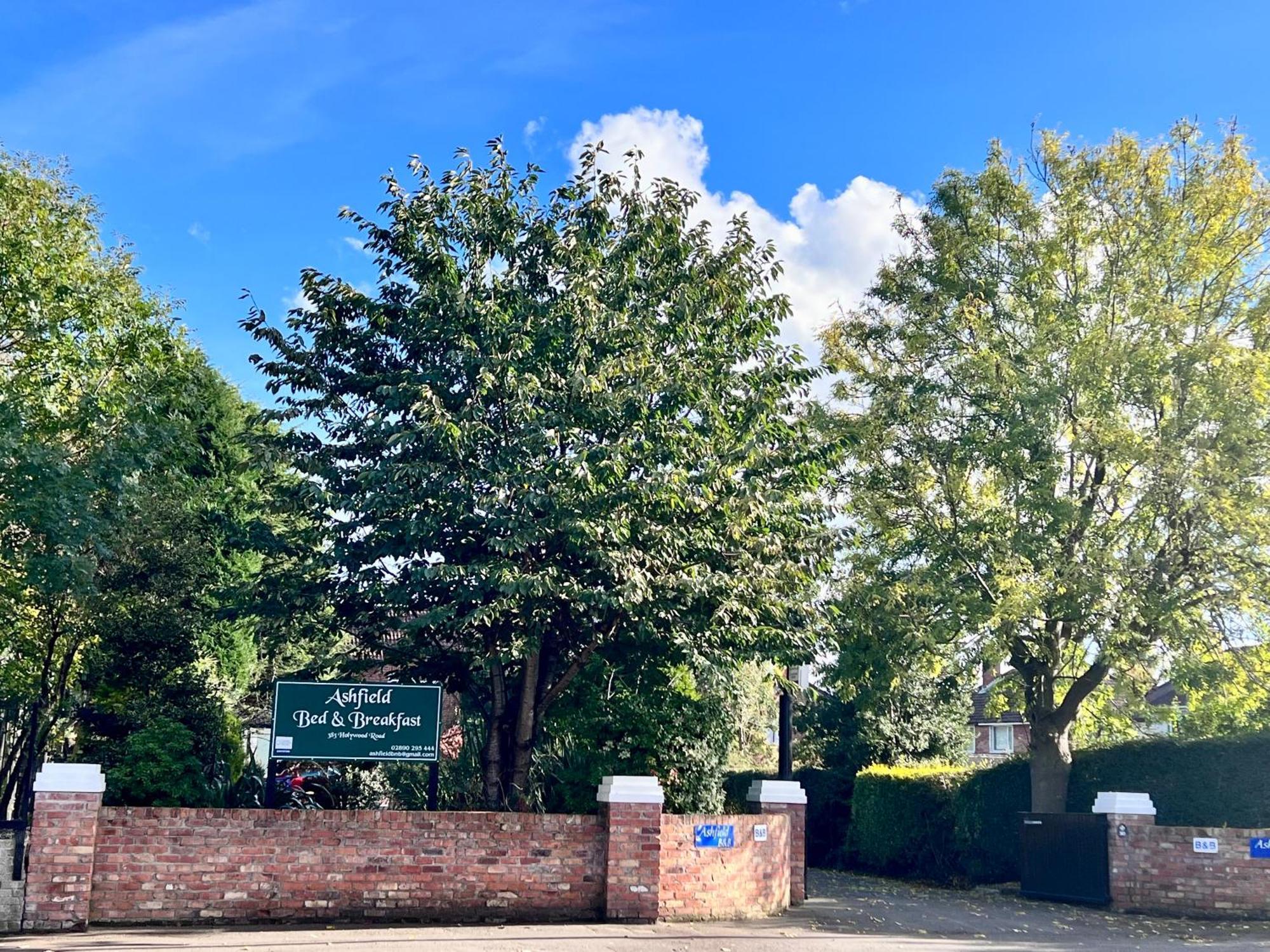 Ashfield Bed & Breakfast Belfast Luaran gambar