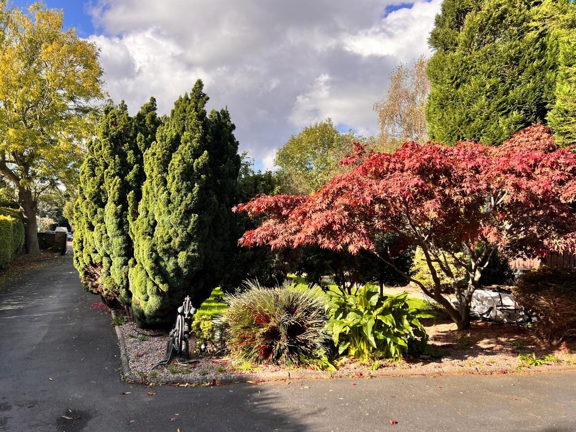 Ashfield Bed & Breakfast Belfast Luaran gambar