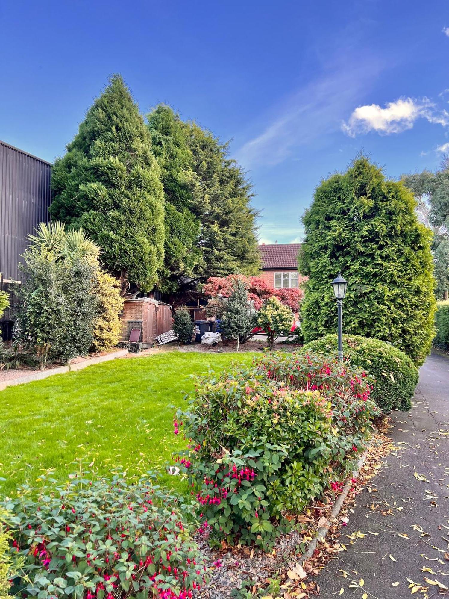 Ashfield Bed & Breakfast Belfast Luaran gambar