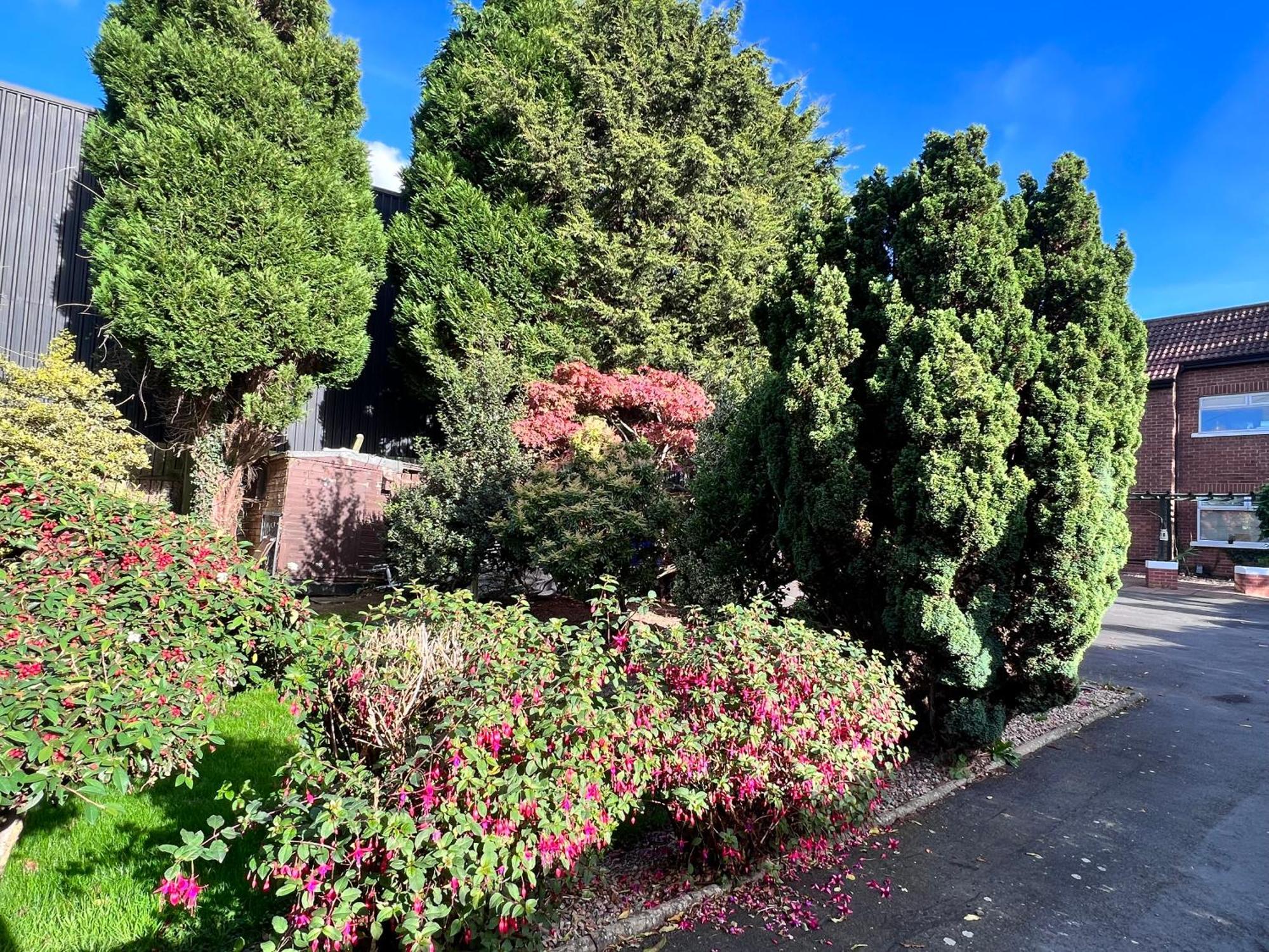 Ashfield Bed & Breakfast Belfast Luaran gambar