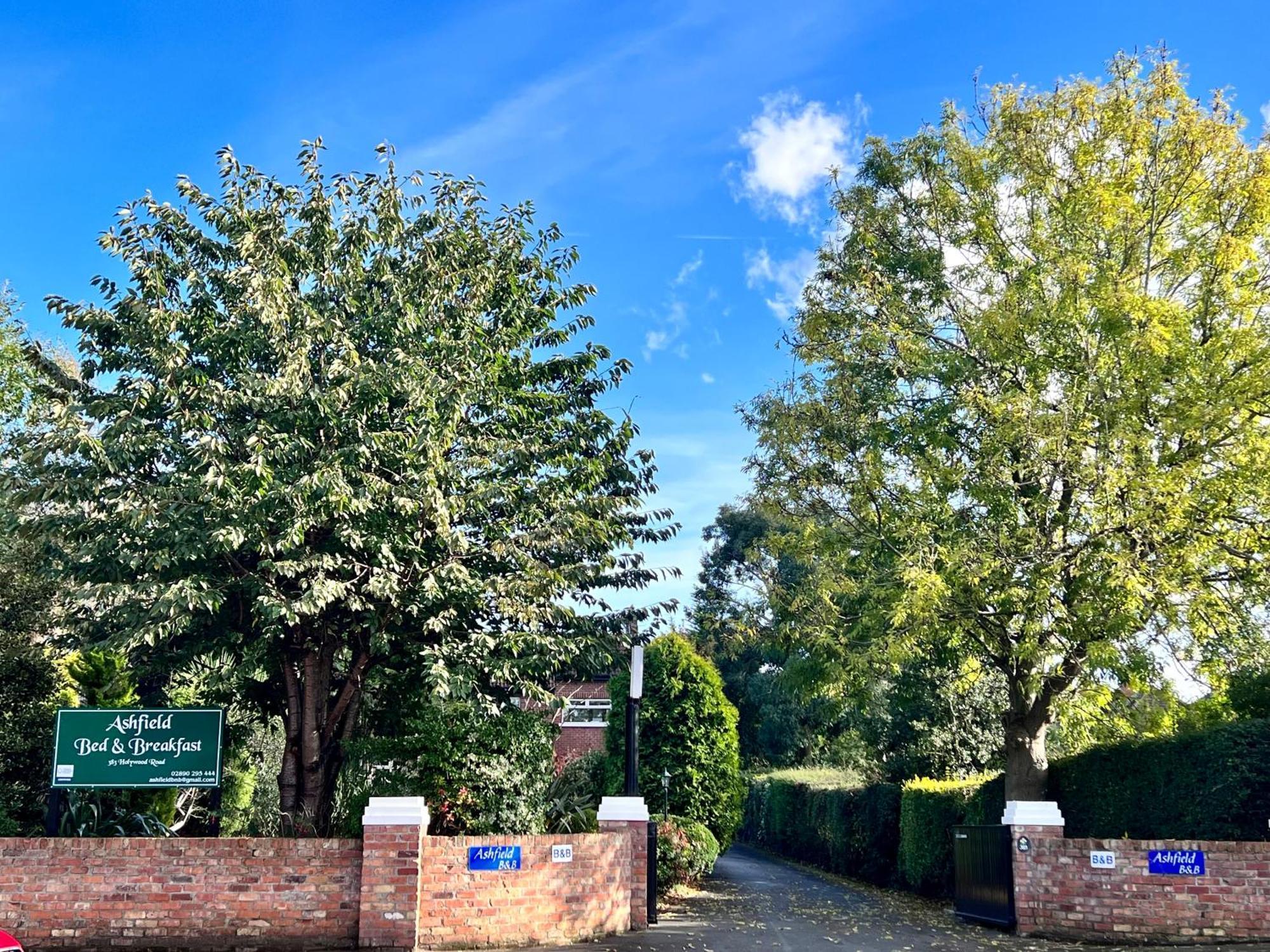 Ashfield Bed & Breakfast Belfast Luaran gambar